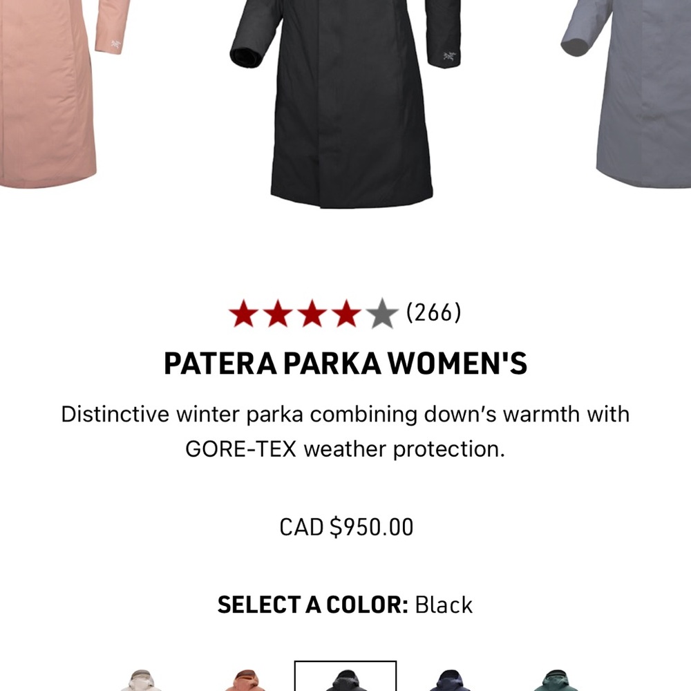 Arc’teryx Patera parka - size XS